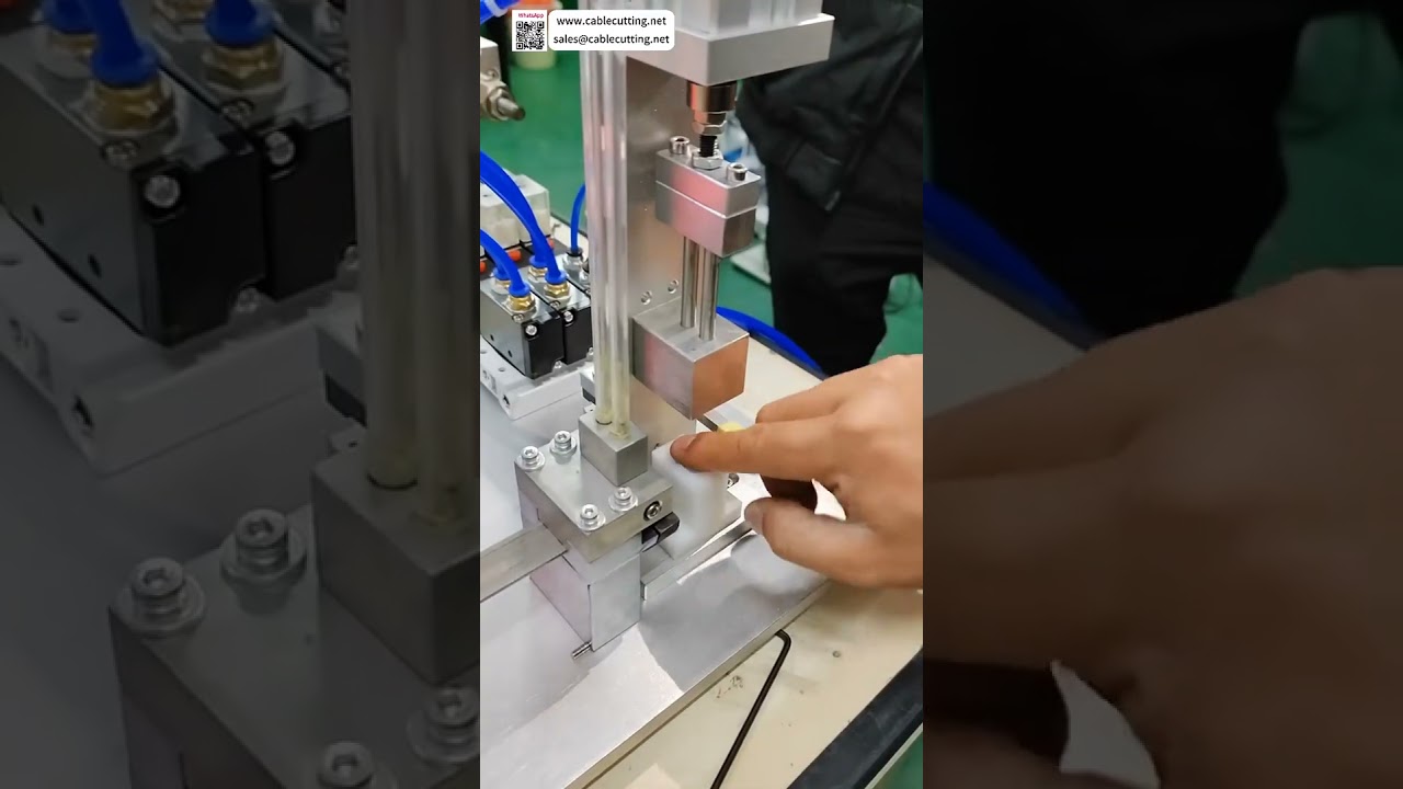 Manyetik Çekirdek Montaj Makinesi | Çeşitli Mıknatıslar İçin Otomatik Pres Geçme