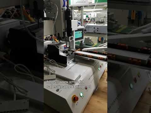 Yüksek Hassasiyetli Masaüstü Otomatik Vida Sıkma Makinesi | Çok İstasyonlu, İki Tip Vida İçin