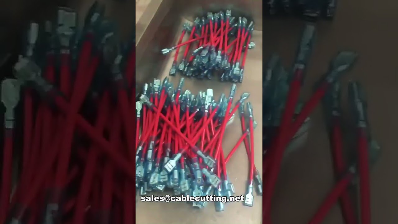 Otomatik Çift Kafalı Vibrasyonlu Plaka Terminal Makinesi | Servo Soğuk Pres Yalıtımlı Terminal Besleme