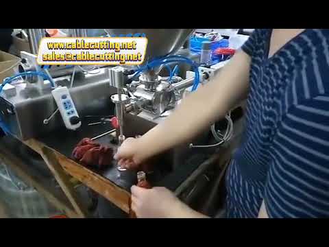 10ml - 5000ml Arası Tek/Çift Kafalı Deterjan, Yoğurt, Sos Dolum Makinesi | Viskoz Ürünler İçin