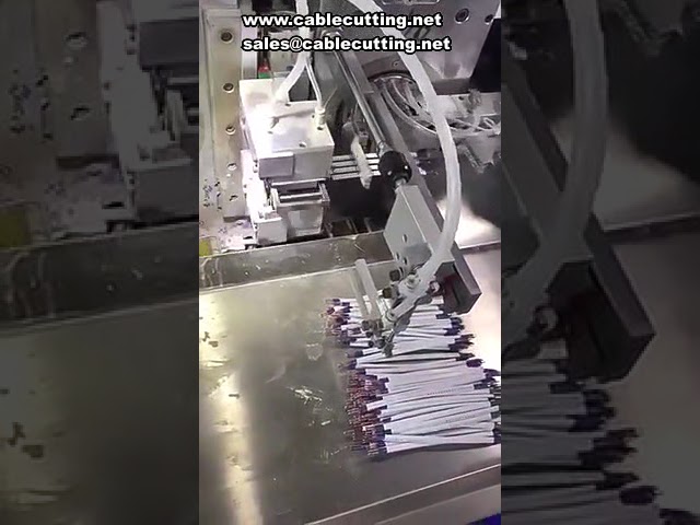 Çift Kafalı Otomatik Kalay Daldırma Makinesi | Paralel ve Düz Teller İçin Kılıflama Çözümü