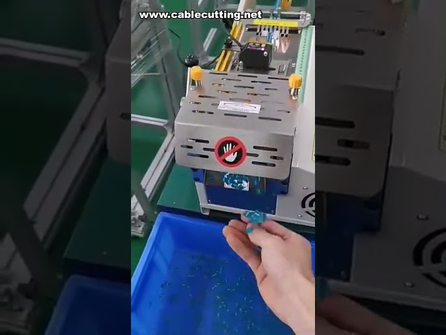 Kağıt Etiket Kesme Makinesi | Çıkartma ve Kendinden Yapışkanlı Etiket Kesim