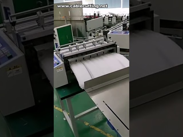 Yüksek Verimli PVC Shrink Film, Plastik Ambalaj Filmi ve PP Buzlu Bant Kesme Makineleri
